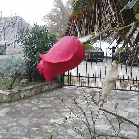 Rivarela 31 Novigrad Istria