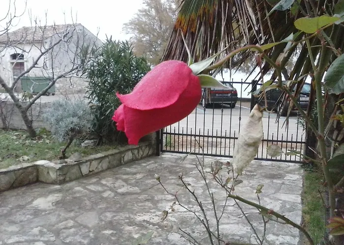 Rivarela 31 Novigrad (Istria)